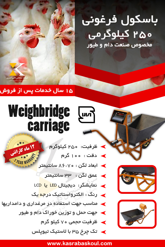 خرید باسکول فرقونی تک‌ چرخ ۲۵۰ کیلویی برای حمل بار سبک